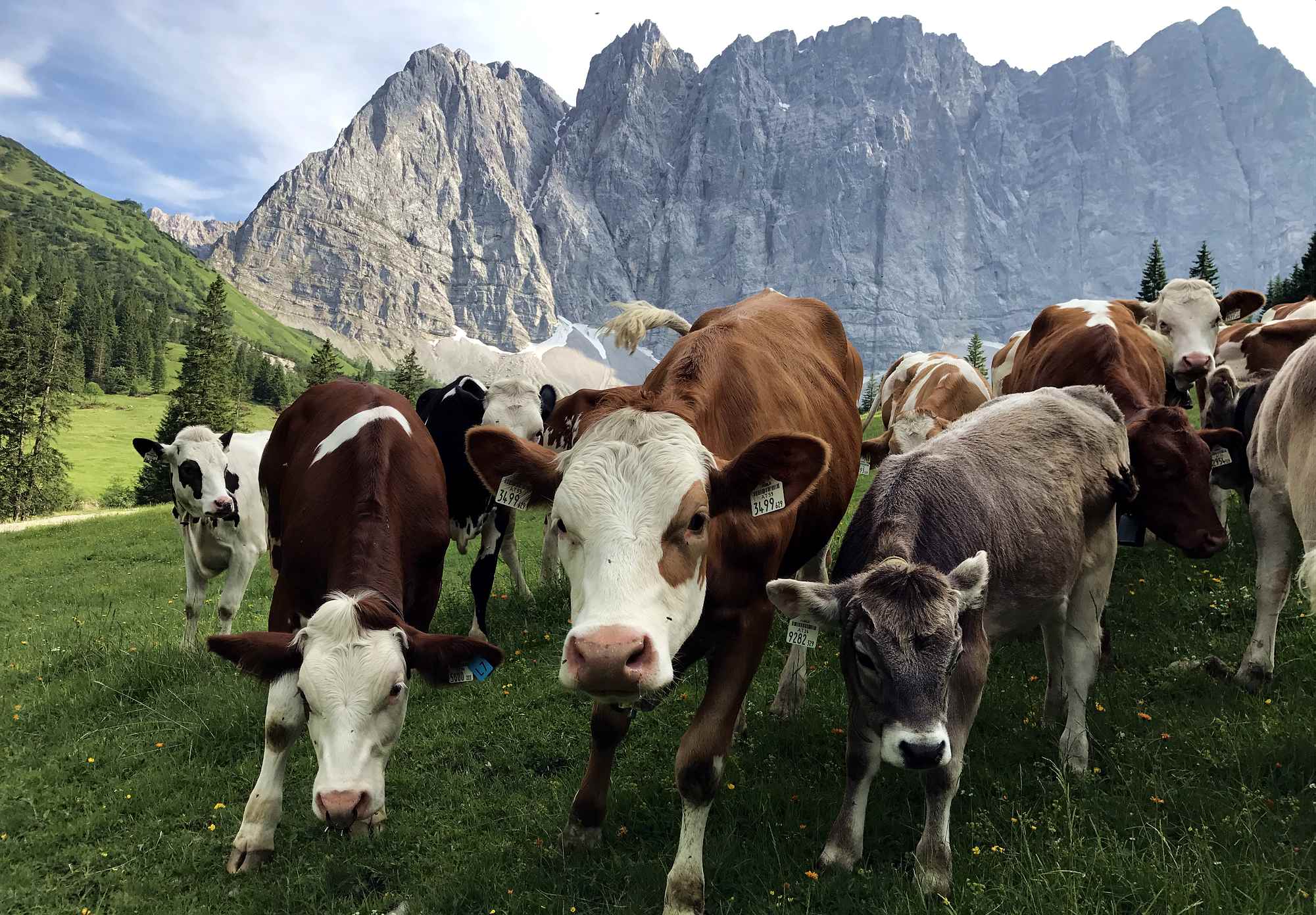 drei tages tour karwendel